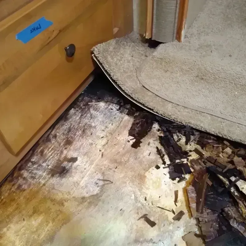 Wood Floor Water Damage in Fayetteville, WV